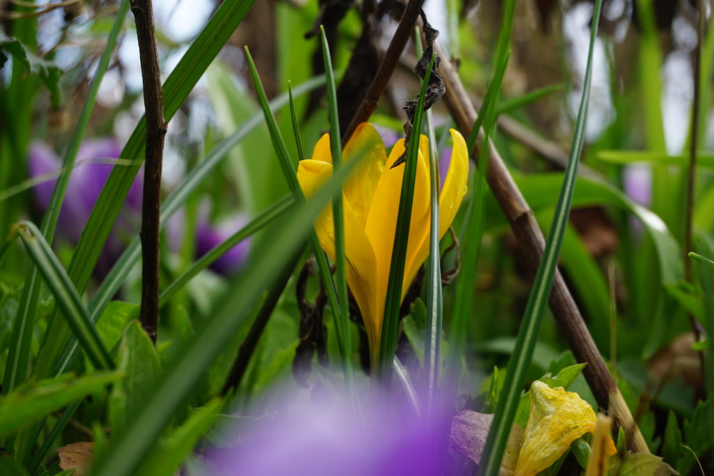 Een licht en vrolijk gevoel